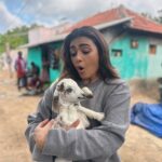 Shalini Pandey