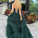 Shanik Aspe