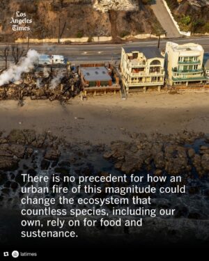 Sharon Lawrence Instagram - This is why we need what @healthebay offers , science, advocacy and local action. 
Repost from @latimes
•
L.A.’s devastating fires are only the latest episode in which the ocean has served as an unappreciated receptacle for trash and hazards originating on land.

The smoke from the fires, the debris piled up along decimated streets, the charred and toxic remnants of thousands of destroyed homes, businesses, cars and electronics — nearly all of it, eventually, will come to rest in the ocean.

Unlike the smoke that emanates from rural wildfires, the charred material now entering the ocean is the stuff of “people’s homes: their cars, their batteries, their electronics,” said Rasmus Swalethorp, a biological oceanographer at UC San Diego’s Scripps Institution of Oceanography. “It’s certainly going to contain a lot of things that we ideally don’t want to see in our oceans — and in our soils, for that matter, and our water streams, and certainly not on our dinner plates.”

Among scientists’ most immediate concerns is ocean water contamination. In addition to the already-massive footprint of ash offshore, Gold noted that runoff from the first few rainstorms is a huge concern. He’s had a flurry of conversations with city, county and state officials, who have been trying to proactively limit the amount of fire pollution going into the ocean.

The rain this week was the first significant precipitation in the region since May. In addition to the fires’ ash and chemical residue, it was also the first flush of nine months’ worth of daily pollution into the sea.

Read more at the link in bio.

✍ @corinnepurtill_lat @rosanna.xia 
📷 Wally Skalij; Rasmus Swalethorp/Scripps Institution of Oceanography; Robert Gauthier