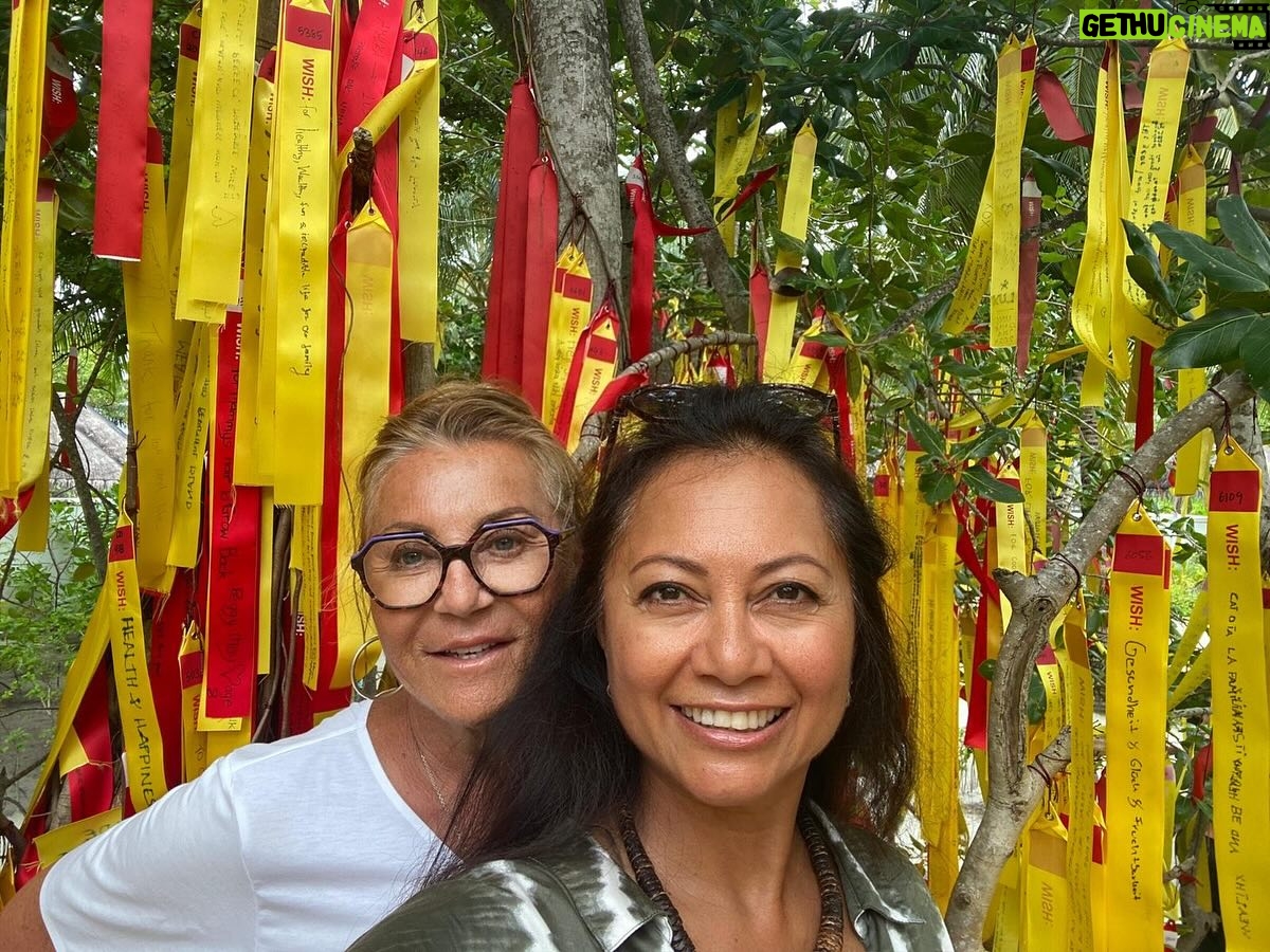 Sheila - 1.4K Likes - L’arbre à vœux ...! Nous espérons qu’ils seront réalisés 😉😉😘😘😘
Détente assurée en buvant un coconut Divine 😂😂😂
#sheila #sheila2025 #holiday #wishes
#arbreavoeux #coconutdivine #wishtree