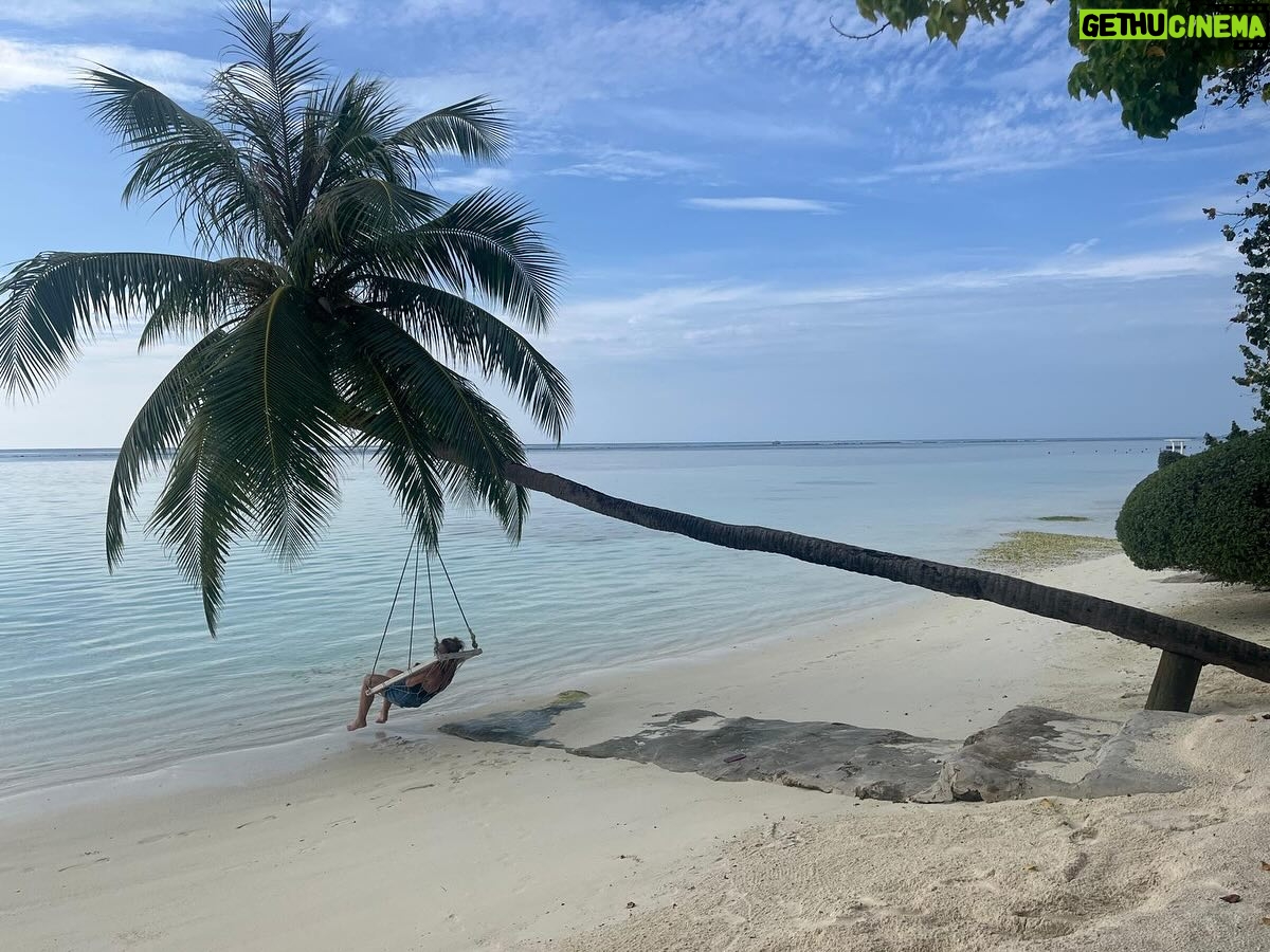 Sheila - 1.5K Likes - Sur la plage abandonnée 😉 coquillages et crustacés 🦞…. Le silence loin du tumulte... Pensées ensoleillées 😎 pour vous tous 😘
#sheila #sheila2025 #holiday #sea #sun #break