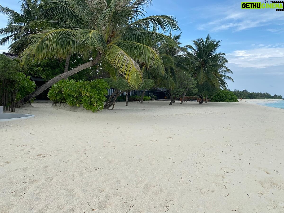 Sheila - 1.5K Likes - Sur la plage abandonnée 😉 coquillages et crustacés 🦞…. Le silence loin du tumulte... Pensées ensoleillées 😎 pour vous tous 😘
#sheila #sheila2025 #holiday #sea #sun #break