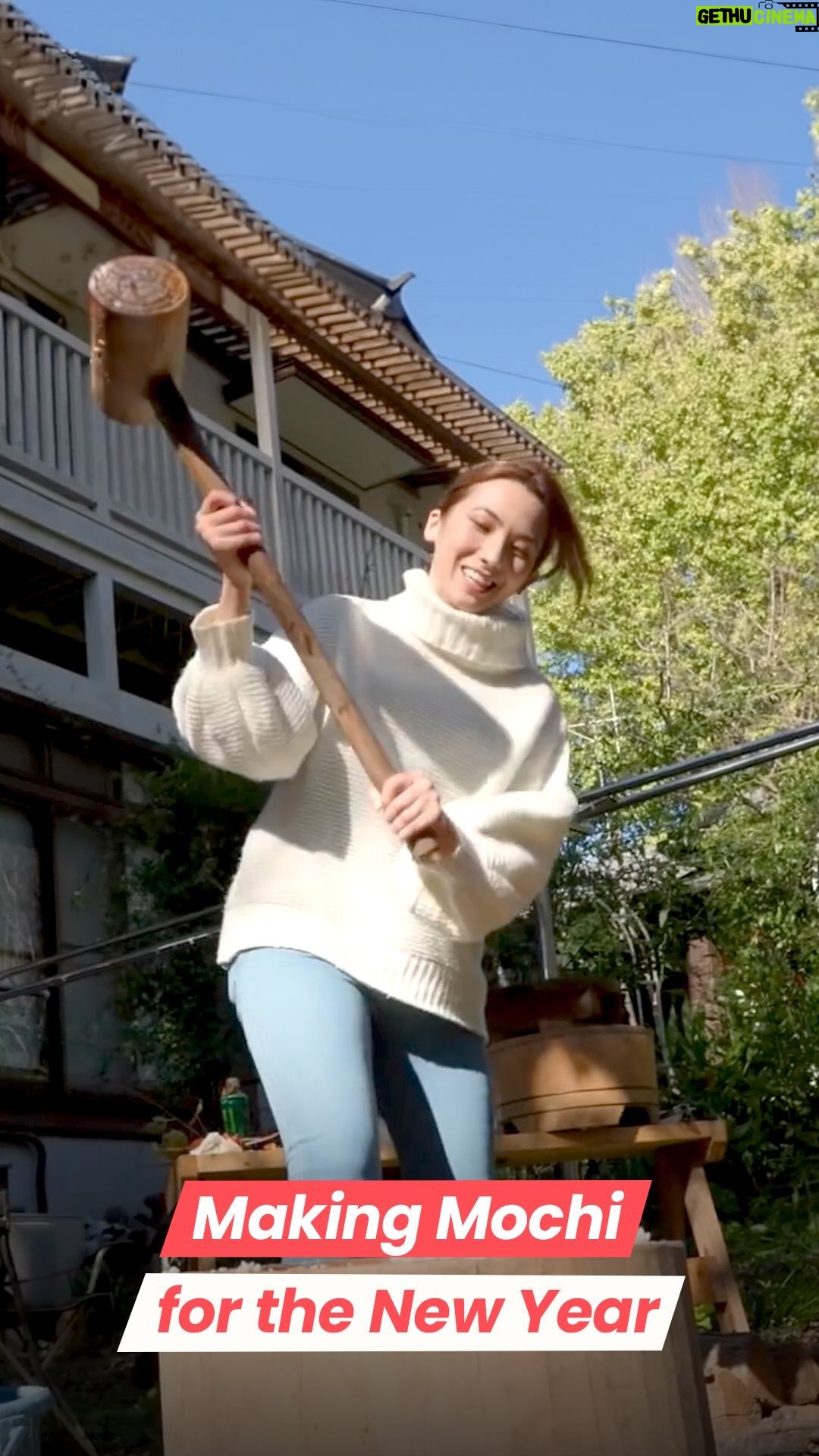 Shizuka Anderson - 1.1K Likes - Happy New Year from Japan! š„š
A Japanese New Year tradition, Shizuka learns all about mochitsuki (mochi making) at Enpukuji Temple in Chiba Prefecture with the help of the head monk, Ibaraki. Mochitsuki is usually reserved for special occasions like anniversaries and the New Year, and is symbolic of community and togetherness as it cannot be done alone. šš
Usually, people use white rice to make mochi, but in the Monoi City area, unpolished rice called āgenmaiā is often used as well. In particular, they use a type of green rice called āmidori mai,ā which is extremely rare in Japan. The green rice at Enpukuji is grown using pesticide-free and organic farming methods. It is said to have benefits like helping to lower cholesterol levels. š¾š
Rice is considered a sacred food in Japan (mochi and sake are particularly significant). Mochi appears in many Japanese New Year foods from āozoniā mochi soup to ākagami mochi.ā š²š¶
HOW MOCHI IS MADE
Wash and soak the glutinous rice overnight šļøš
Steam the glutinous rice š¬ļøš
Transfer the steamed rice into the Usu (mortar) š½ļø
Moisten the Kine (wooden mallet) with water š¦
Using gravity, one person hits the rice with the wooden mallet š„¢
Occasionally, a second person folds the rice in between hits šÆāāļø
When the mochi reaches the desired consistency, shape it and enjoy š”
LOCATION
Enpukuji Temple šÆ
Monoi, Chiba Prefecture š
#mochitsuki #mochi #japanesefood #newyeartradition