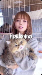 Actress Shoko Nakagawa HD Photos and Wallpapers February 2025