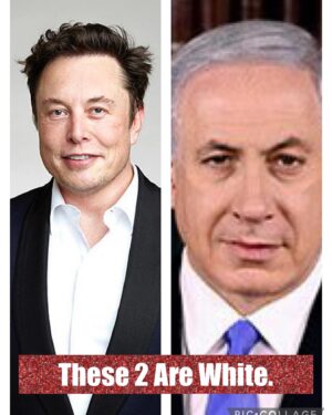 Shola Mos-Shogbamimu Instagram - Elon Musk says Jews are White. What say you? 

Jews are White. Both of these men are White. It’s intellectually dishonest to call Jews a race or deny they’re White. Judaism is a religion & to a large extent an ethno-religious ethnicity. Jews are not a monolith of a single race. There are White, Black & Brown Jews. White Jews can (and some have been) racist to Black/Brown Jews. The ideology of Zionism & Nazism are cut from the same cloth of White Supremacy. If 6 million Black Jews were murdered in the Nazi Holocaust, the West wouldn’t give a damn. Germans committed a holocaust on Black Namibians in Africa BEFORE it did on White Jews in Europe. Not part of ‘White History’.