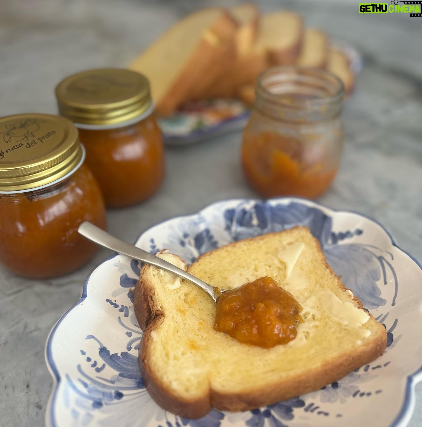 Silvia Colloca - 2.2K Likes - It’s apricot season and it’s time to jam! I enlisted the help of my dad to create the most velvety jam, perfumed with vanilla and lemon. Note to self… we should have made more…
Also… don’t be fooled by my dad understated ease in the kitchen… the man cannot cook to save his life, but he surely can remove seeds from stone fruit like there’s no tomorrow!
Makes 4x250 ml jars
1.4kg of apricots (weight is with stone removed)\500 gr of caster sugar
1 large or 2 small lemons (juice and zest)
1 vanilla bean split in half to add to the pot
Cut the apricots into small chunks, place into a large, non reactive bowl with sugar, vanilla bean, lemon juice and strips of lemon zest (no white part). Cover with a damp tea towel and allow to macerate in the fridge for 2 hours or overnight (to intensify the flavors).
Place the macerated fruit along with the liquid into a large pot and bring to a simmer. Cook over low heat for 45-60 minutes, or until the jam has thickened slightly. You can skim off the foam that appears on the surface with a slotted spoon as the jam cooks. To make sure the jam is cooked, place a small plate in the freezer for 10 minutes. Take it out and spoon a little jam onto it. If it thickens, the jam is ready. Pour the hot jam into the hot sterilized jars, close firmly and tip the jars upside down to create a vacuum. Allow to cool down, then refrigerate.
Ps
always make sure to use sterilized hard and lids. If you are reusing old jars, make sure you get new lids to create the vacuum seal that will preserve your jam safely.