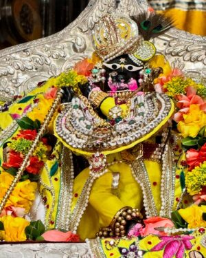 Sneha Wagh Instagram - Swipe ➡️ to watch me in Shyam Rang 🤭
Vrindavan mein aaj se shuru ho gayi Holi ……
Happy Basant Panchami aur Hamare Thakur Ji ki dekho Dantaavali 😁
.
.
.
#radheradhe #radheshyam #vrindavan #holi #basantpanchami #radharaman #radha #krishna #snehawagh #sarangesneha #love