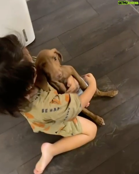 Suan Wang - 3.6K Likes - 「妳從此以後有家了,我們就是妳家人。」
這週,
我們家度過了心痛煎熬的一週。
自從搬家了以後,
新家的空間太適合再養一隻大狗狗!
我鼓起勇氣。
上網找了好多的領養社團,
看了好多好多的收容中心,
一直想幫至尊寶找一個,
可以一起在海邊奔跑、一起滾草皮、一起抱抱睡覺,一起長大的夥伴。
起初是想要找中年大狗領養,
但是其實很多大狗是會怕小孩的,
而我兒子又遺傳我超熱愛動物的基因,
看到動物就超興奮熱情主動無畏無懼~
總是會過於熱情~
終於緣分來了,
讓我命定了一隻才剛被救出來的pointer(波音達犬)只有2個月大,
未來會是巨大狗狗,35-45公斤左右。
這個小小生命一來到我們家,
就深深的扎進了我們的心,
短短2天陪伴著我們,
為我們家帶來了歡笑還有睡眠不足,
牠是一隻可愛的狗狗,Murphy。
Murphy的毛色像巧克力一樣油亮,
整個神韻好像眼睛裡有一顆漂亮小行星,
牠總是需要有人陪著,
沒人陪會起床哭,
所以爸爸睡客廳陪了她睡了2晚。
但生命無常真的讓人措手不及….
第二天開始拉肚子(血便)嘔吐,
帶去醫院確認是存活率最低的…
《犬小病毒性腸炎》
這個可怕的病毒只能靠自體免疫力。
住院3天,醫生使用支持療法,
我們每天都去幫她加油,
我更是照三餐打給醫生,
拜託醫生麻煩幫忙照看。
每天去看Murphy漸漸變得虛弱,
她的眼睛也不再睜開…
只能看到她身體微微的呼吸起伏…
我每天不安與焦慮,
超害怕接到動物醫院的電話….
我沒有準備好面對牠離開,
因為我一直篤定她會撐過去然後回家,
跟我們一起過上幸福快樂的日子。
接到她離開的電話以後,
我們三個都哭了,
牠的眼神在我腦海中揮之不去,
讓我無法自已。
我陷入深深的自責,
一直檢視自己是不是少做了一些什麼?
我不甘心,
我不甘心她沒有跟我們過上被愛與幸福的日子,就這麼離開!
過了好幾天,
我才願意跟邵翔聊聊,
他已經習慣我這個模式,
我都會在角落一個人內心混亂的滾,
滾完之後再去找他。
我說,
「我真的不甘心,我的母愛太濃烈,
我一直覺得她會回家!
跟我們幸福快樂的生活!
我好自責,我好不甘心!」
邵翔輕輕的抱著我告訴我,
「起碼她來了我們家過了好快樂的2天,
她在好溫暖的地方待了2天
然後她有家了,有家人了,我們就是她的家人。」
今年才送走我16歲的狗兒子滾滾,
他走的時候雖然真的好痛心,
但同時也覺得他解脫了,
得了糖尿病打了一輩子的針,
終於能夠自由自在跑跑跳跳,
再也不用打針了。
這些情感是永恆的。
每當我仰望星空,
我總能感受到我所有的毛小孩,
毛毛、滾滾、Murphy。
妳們的靈魂將永遠與我同在,
愛將指引我走過人生的每一個階段。
謝謝妳我們的家人Murphy,
來我們家走了一趟。
願你在天堂裡快樂無憂、無病無痛。
我愛妳
謝謝妳
原諒我
對不起
背景樂是我接到動物醫院打來,
我們家正在播的歌曲。