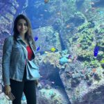 Surabhi Hande