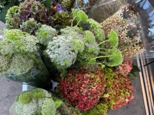 Tanya Plibersek Instagram - A different way to start the day. Early morning flower markets trip 💐
