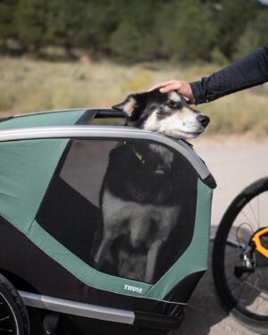 Taylor Rees Instagram - Hypothesis: The less carbon fuel we need to combust in the process, the more we get to connect with that sweet source of shared love. Thank you @thule @doglifebythule for spurring a new chapter in our lives of allowing @baloointhewild to feel safe and psyched to make human-powered runs to town for walks, swims, pizza, and  friendship. @renan_ozturk @expedition.studios [photos by @kael.vb, styling the one and only joynapetta]