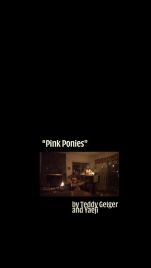 Teddy Geiger Instagram - TRANSA is out tomorrow, 11.22. 

What did Massima find in the reclaimed carriage house?

🕯️You’ll feel it all soon. Thanks to @teddygeiger for surprising us with this miniature in-home performance of “Pink Ponies” written with @kraejiyaeji 🖤 

Subscribers of transa.world saw this first. Sign up quick!