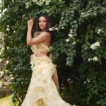 Tripti Dimri