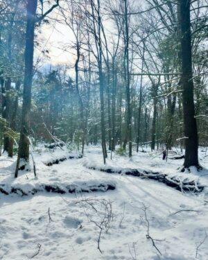 Valorie Curry Instagram - It is a serious thing
Just to be alive
On this fresh morning
In the broken world