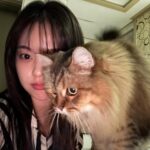 Yoo Hye-In