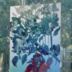 Yu Han Lien