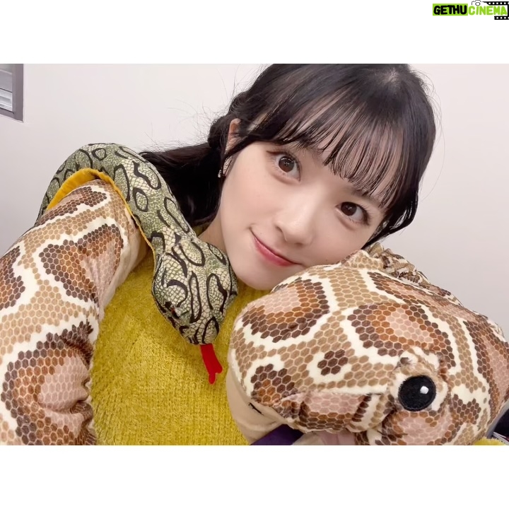 Yuina - 7.2K Likes - ⋆⸜ Häppÿ Nёw Yёär ⸝⋆
2024年お世話になりありがとうございました( * ॑˘ ॑* ) ⁾⁾
今年は巳年!としおんなーーーー!な私です🐍…笑
皆さんと出逢えたおかげで、
2025の楽しみがたっっっくさんあって……だから!
終わるのが嫌じゃなくて心からおめでとうの気持ち😆✨
10代の時終わっちゃうううう😢ばっかりだったから(笑)
最高に楽しい時間をありがとうございました!!💞
皆さんからのメッセージ、、本当に嬉しいものばかりで🥲🫧
一緒に過ごした時間のフラッシュバック投稿もたくさんあり、
とおおおおっても嬉しくて幸せいっぱいです🥳
みんなからの言葉ぜーーーーんぶ受け取ってます🫶
これからも皆さんに後悔させないような人になる!
そして、たくさん笑わせたい!!!🤣🤣
笑顔になってもらえるように頑張りますよーーー❤️🔥
はぴ はぴ はっぴー♪がもっともっと広がりますように!!
2025年も、にっこにこの1年にしましょうね!一緒に☺️
今年も、よろしくお願い致します。(´˘`*)
最後まで読んでくださり、ありがとうございました😊
#謹賀新年 #新年 #あけましておめでとう
#happynewyear #年女 #巳年