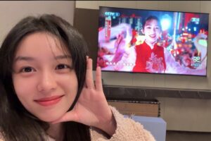Zhou Ye Instagram - 我还在看春晚重播 你们呢？