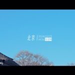 Zhu Zhu