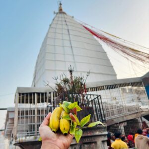 kruttika ravindra Instagram - Baba Baidyanath Dham, one of the 12 Jyothirlingas 🙏🏻🙏🏻
Mana Kamana Lingam ❤️🙏🏻 
And Ma Jayadurga (Parwathi Devi) Temple, one of the 51 Shaktiipeethas ❤️🙏🏻
 According to the legends, Ravana was performing penance in the Himalayan region to appease Shiva. He offered nine of his heads as an offering to Shiva. As he was to sacrifice his tenth head, Shiva appeared before him and expressed satisfaction with the offering.
It was the healing action of Lord Shiva in putting back Ravana’s heads that earned him the name Baidyanath or Vaidyanath, because “vaidya” means a doctor.
ದಂತಕಥೆಗಳ ಪ್ರಕಾರ, ರಾವಣನು ಶಿವನನ್ನು ಮೆಚ್ಚಿಸಲು ಹಿಮಾಲಯ ಪ್ರದೇಶದಲ್ಲಿ ತಪಸ್ಸು ಮಾಡುತ್ತಿದ್ದನು. ಅವನು ತನ್ನ ಒಂಬತ್ತು ತಲೆಗಳನ್ನು ಶಿವನಿಗೆ ಅರ್ಪಿಸಿದನು. ಅವನು ತನ್ನ ಹತ್ತನೆಯ ತಲೆಯನ್ನು ತ್ಯಾಗ ಮಾಡಲು ಮುಂದಾದಾಗ, ಶಿವನು ಅವನ ಮುಂದೆ ಕಾಣಿಸಿಕೊಂಡನು.
ರಾವಣನ ತಲೆಗಳನ್ನು ಮತ್ತೆ ಅವನಿಗೆ ನೀಡಿದ್ದಕ್ಕೆ, ಶಿವನಿಗೆ ಬೈದ್ಯನಾಥ ಅಥವಾ ವೈದ್ಯನಾಥ ಎಂಬ ಹೆಸರನ್ನು ತಂದುಕೊಟ್ಟಿತು.

I could feel the healing power here. 
ಧನ್ಯೋಸ್ಮಿ 🙏🏻😊
Done with 5th Jyothirlinga Darshana 🙏🏻🙏🏻
•
#travel #travelphotography #love #lifestyle #life #instagood #instalike #instagram #post #picoftheday #photooftheday #photo #shiva #baidyanath #jharkhand #karnataka #kannadathi #happy #spirituality #religious