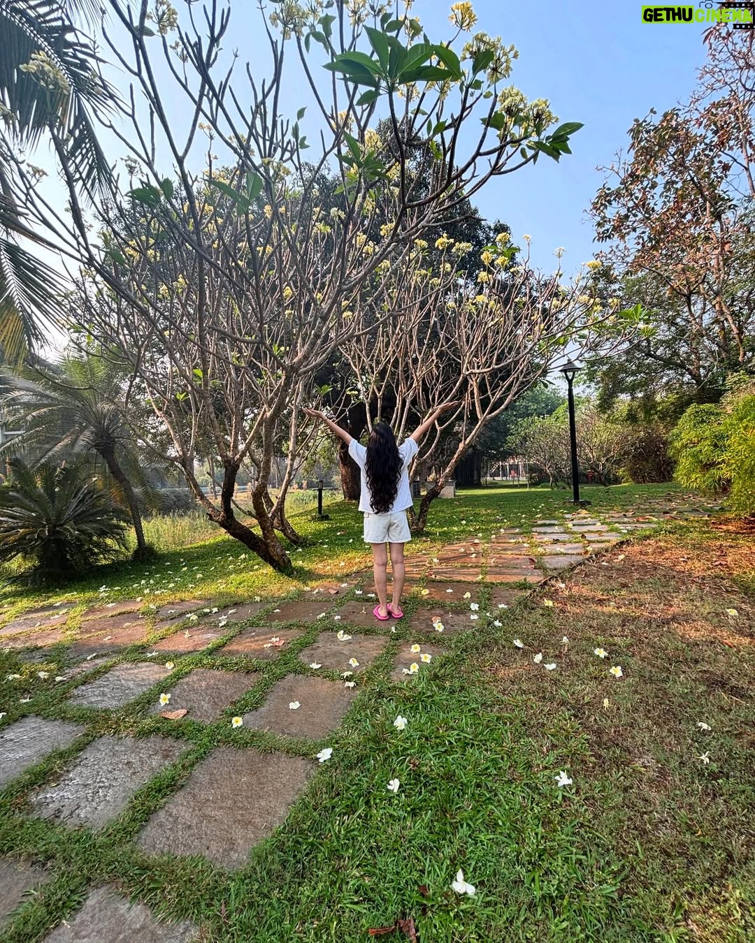 Aakriti Sharma - 37.2K Likes - “It is not the years in your life but the life in your years counts”
#wednesday #thoughts #aakritisharma #instagram