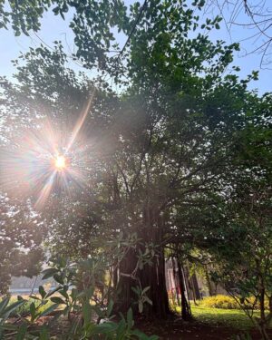 Aakriti Sharma Instagram - “It is  not the years in your life but the life in your years counts” 

#wednesday #thoughts #aakritisharma #instagram