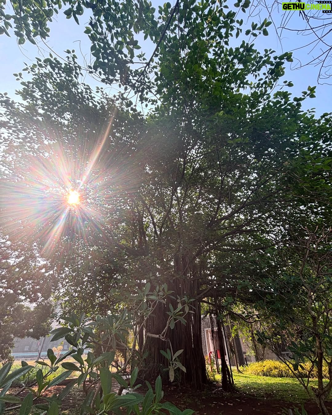 Aakriti Sharma - 37.2K Likes - “It is not the years in your life but the life in your years counts”
#wednesday #thoughts #aakritisharma #instagram