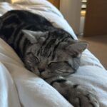 Abbie Eaton