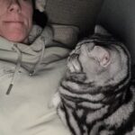 Abbie Eaton