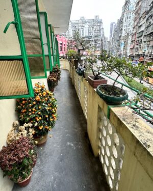 Ada Pan Instagram - 這次的員工旅遊選在「澳門」，因為我自己超愛這座城市！如果你還沒去過，我真心推薦一定要來一次，這裡不只是賭場，而是個充滿衝突美感的地方——中西文化交融、老城與新區並存，還有超多讓人驚喜的體驗！

舊城區的復古氛圍超適合拍照打卡！漫步在大三巴牌坊、戀愛巷、議事亭前地，彩色葡式建築配上石板街道，怎麼拍都好看。隨手來杯港式奶茶、配上剛出爐的安德魯蛋塔，完全是澳門 slow life 的最佳體現。

但如果你喜歡刺激、奢華、現代感，澳門的新城區也絕對不會讓你失望！超浮誇的飯店像威尼斯人、巴黎人、倫敦人、永利皇宮，光是建築本身就值得逛上一整天。逛街、看表演、搭空中纜車、甚至試試運氣小玩一下，一切都讓人眼花撩亂。而且澳門的美食真的不是開玩笑的，除了經典的豬扒包、港式點心、雲吞撈麵，還有各種米其林推薦的餐廳，吃到停不下來！

澳門最酷的地方，就是這種「新舊交錯」的魅力。你可以早上穿梭復古街巷、下午豪華血拚、晚上看國際級演出，甚至來場夜生活體驗，每一刻都有新鮮感！這座城市雖然不大，但每次來都能玩出不同的感覺，完全值得一去再去！

趁年輕，來場說走就走的澳門旅行吧！ 🎡✨