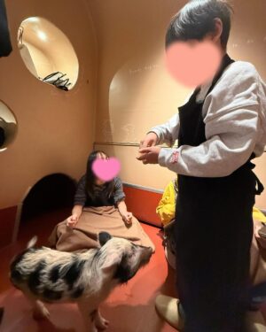 Ai Kago Instagram - 三連休の二日目は
息子の8歳のお誕生日でした✨✨✨

この日は息子にはサプライズで友人達も来てくれて
初のマイクロブタカフェで🐽さんと遊んだよー✨
鳴き声がブヒブヒで、可愛過ぎました💕💕💕
🐽さん、また逢いにいくね！

そして、そのあとは代々木公園へ！
たくさん遊びました💕

夜は大好きなイタリアンでバースデーご飯して
たまたまお店にお友達もいて、みんながお祝いしてくれて
幸せな一日でした🤍
ありがとう㊗️

息子の最近は俺感🫷✨も出してきて、頼もしいお兄さんに成長しております！
ゴルフも頑張って勉強もそれなりに頑張って✨
お友達に優しく元気な8歳を過ごしてね！