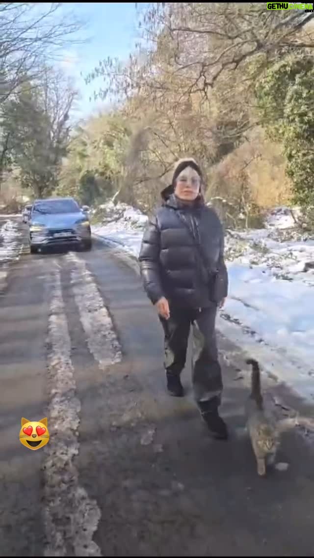 Ajda Pekkan - 17.7K Likes - Güneş, doğa, harika kar manzaraları ile mis gibi bir hava ayrıca en sevdiklerim patili canlarım da yanımda olunca çok keyifli bir kondisyon yaptık bugün ❤️🐾😇