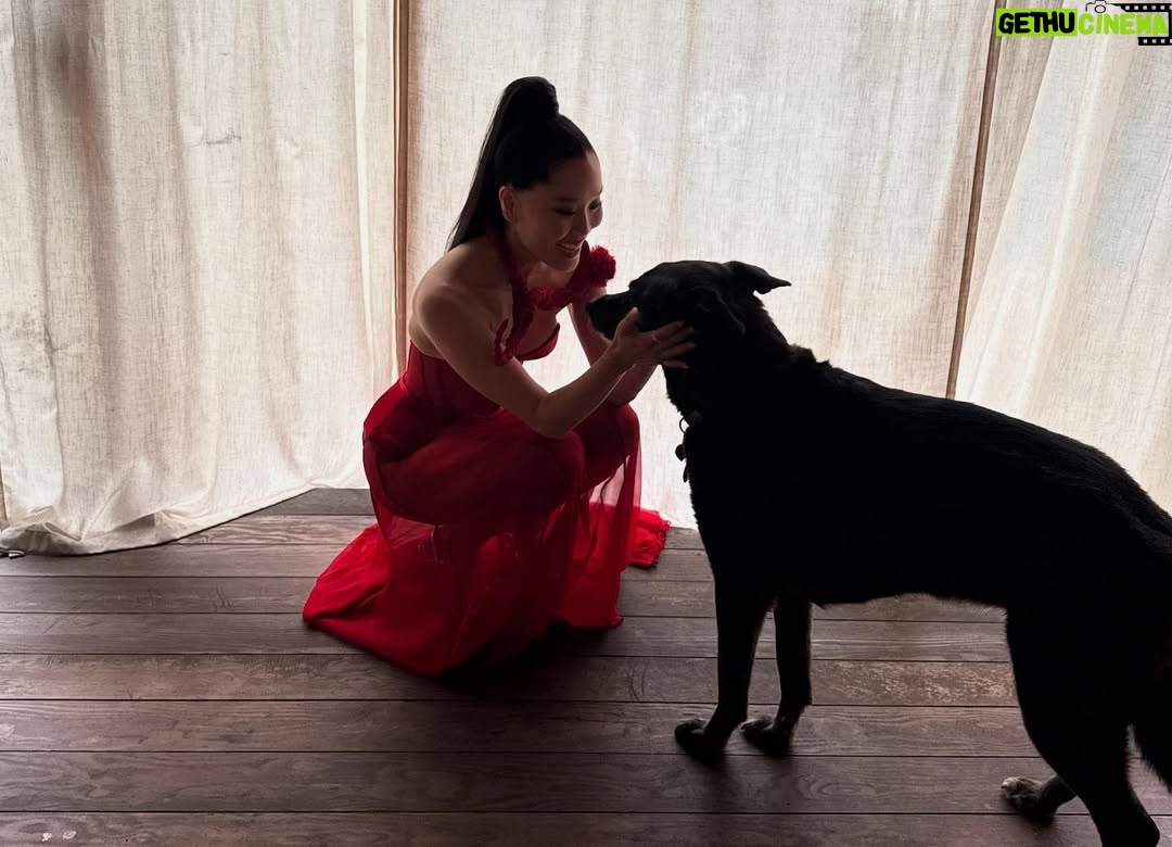 Alicia Hannah - 49.3K Likes - cobra kai never dies❤️❤️❤️❤️
premiere look
styled by @benjaminholtrop
makeup @karayoshimotobua
hair @yumabastet
style assist @emilykejohnson
gown - @coral_castillo
jewelry - @kylechandesign @stephaniegottlieb
shoes - @charleskeithofficial