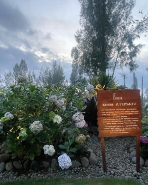 Alya Rohali Instagram - One fine afternoon in Bromo