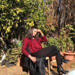 Amal Arafa