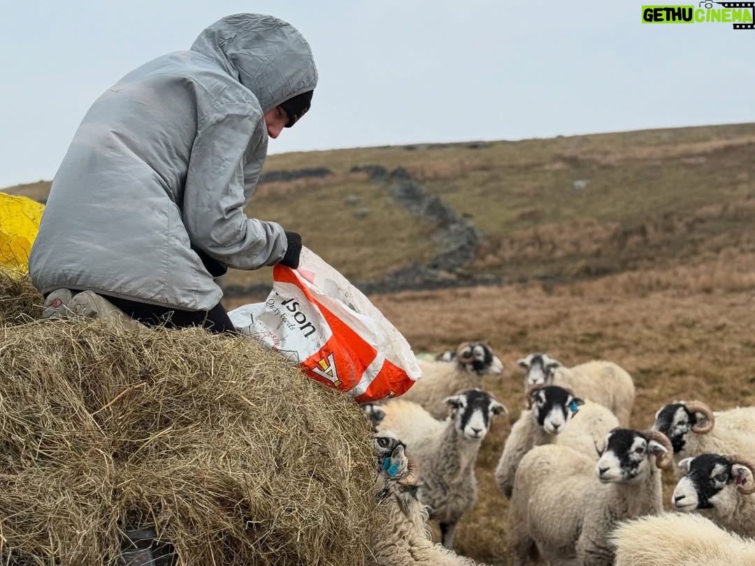 Amanda Owen - 23.1K Likes - π¬πSame π© to deal with but different company. ππ¬
They are absolute rays of sunshine π as we go forth headlong into the rain, wind, sleet and snow or whatever life throws in our direction. π§οΈ π¨ βοΈ #resilience #strength #positivity #yorkshire #weather #farm #shepherdess #countryside #adversity #triumph