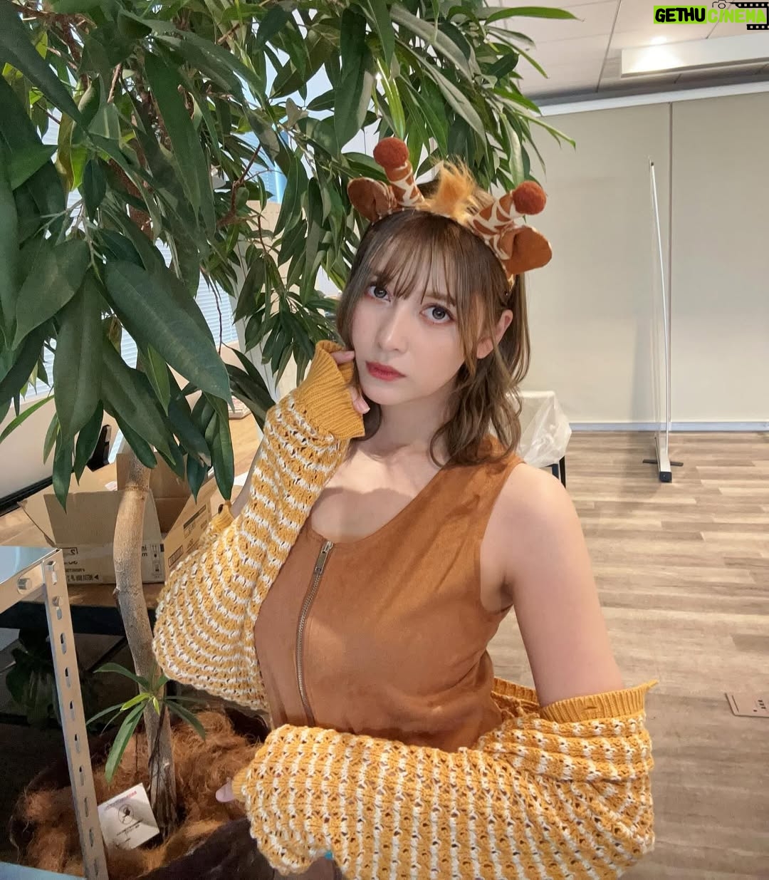 Angela Mei - 11K Likes - ゼロイチ動物図鑑イベントありがとうございました🦒