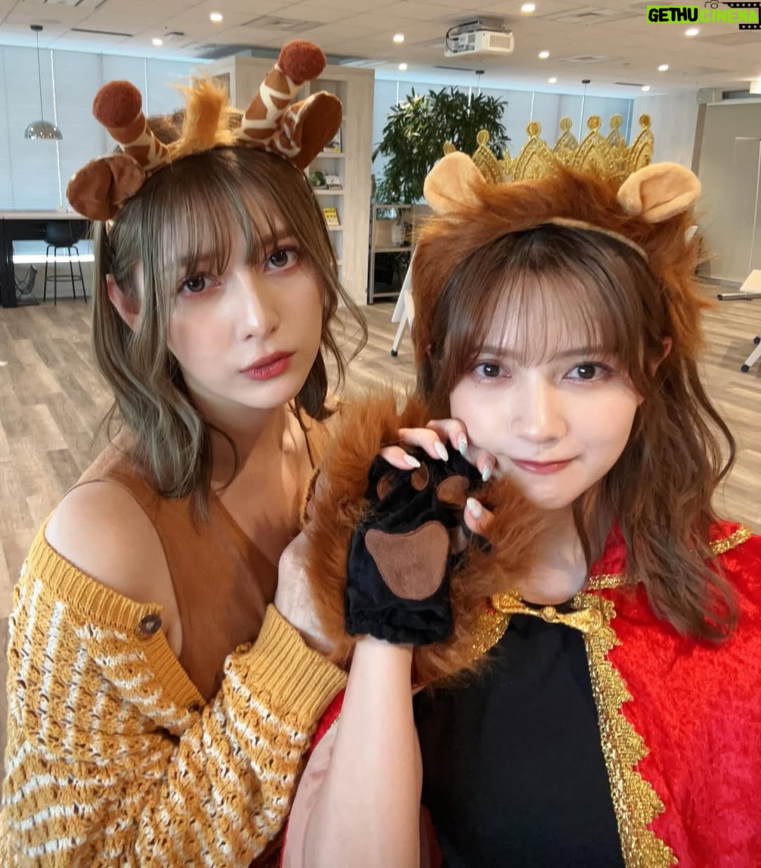 Angela Mei - 11K Likes - ゼロイチ動物図鑑イベントありがとうございました🦒