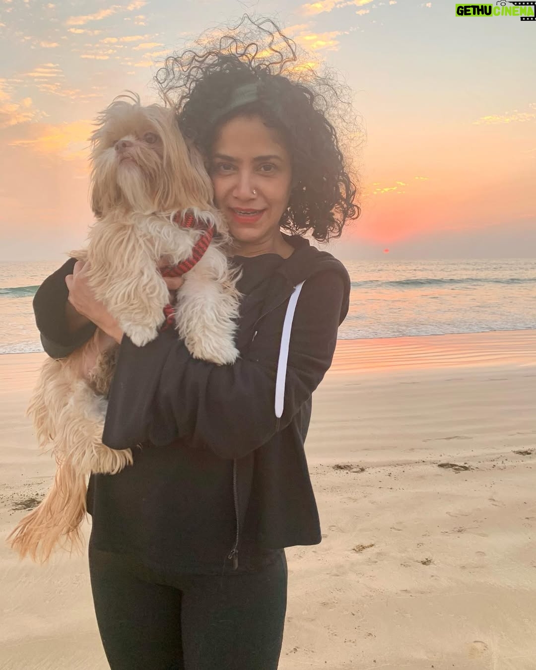 Angeline Malik - 326 Likes - With my tiger... under the orange sky.....
.
.
.
.
.
.
.
#beachbum #karachibeach #orangesky #dogsofinstagram
