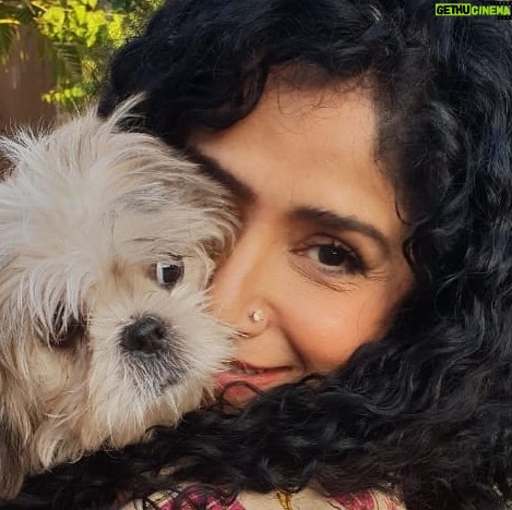 Angeline Malik - 269 Likes - Yeh mera kika hay..... #dogsofinstagram