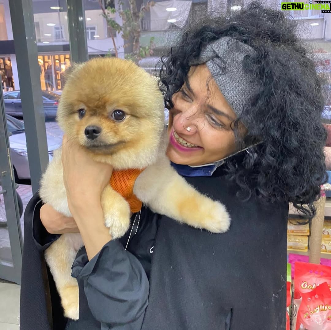 Angeline Malik - 292 Likes - Love at first sight... photo credits @umutsomuncu #dog #dogsofinstagram #dogs #puppy #dogstagram #instadog #doglover #love #dogoftheday #doglife #pet #doglovers #cute #puppylove #pets #instagram #puppiesofinstagram #doggo #puppies #cat #dogsofinsta #of #ilovemydog #petsofinstagram #animals #hund #petstagram #dogphotography #doglove #bhfyp