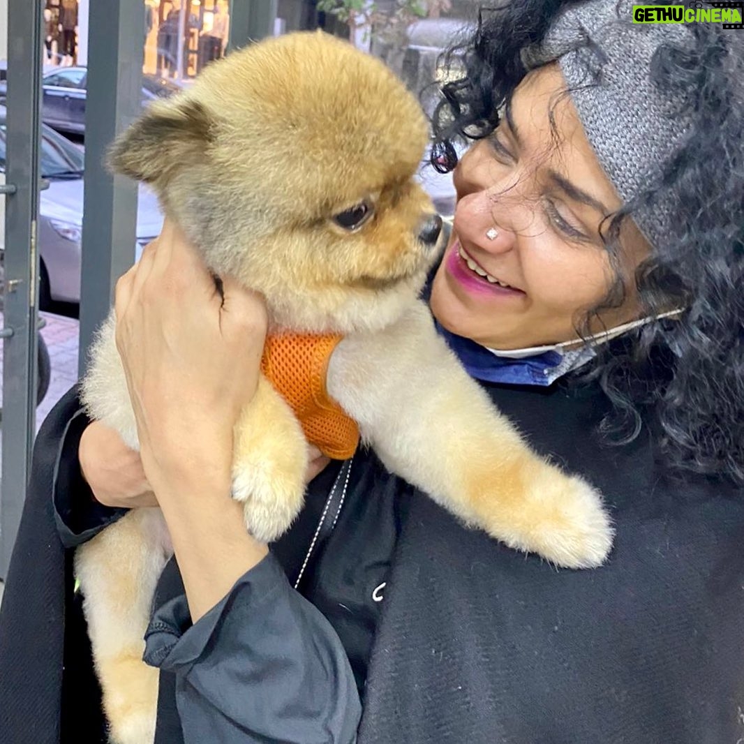 Angeline Malik - 292 Likes - Love at first sight... photo credits @umutsomuncu #dog #dogsofinstagram #dogs #puppy #dogstagram #instadog #doglover #love #dogoftheday #doglife #pet #doglovers #cute #puppylove #pets #instagram #puppiesofinstagram #doggo #puppies #cat #dogsofinsta #of #ilovemydog #petsofinstagram #animals #hund #petstagram #dogphotography #doglove #bhfyp