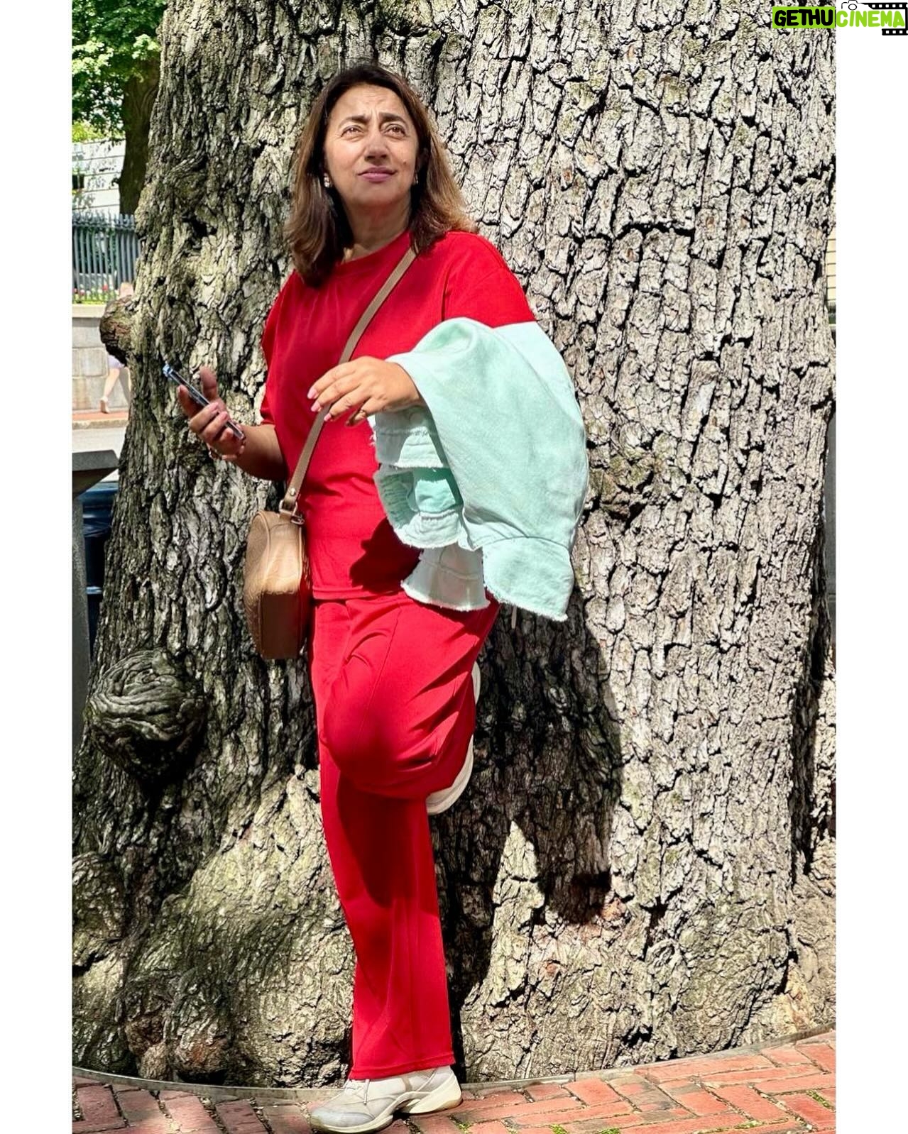 Anu Ranjan - 21.8K Likes - “Someone is sitting in the shade today because someone planted a tree a long time ago” (700 years ago )
Warren Buffet