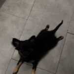 Aoxi