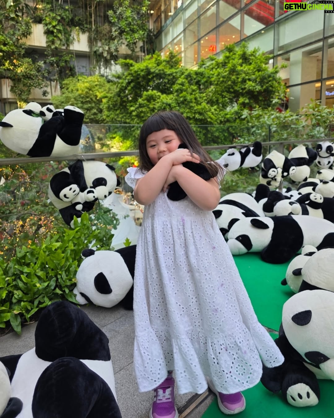 Araya A. Hargate - 224.6K Likes - 🐼🤍🖤🍙