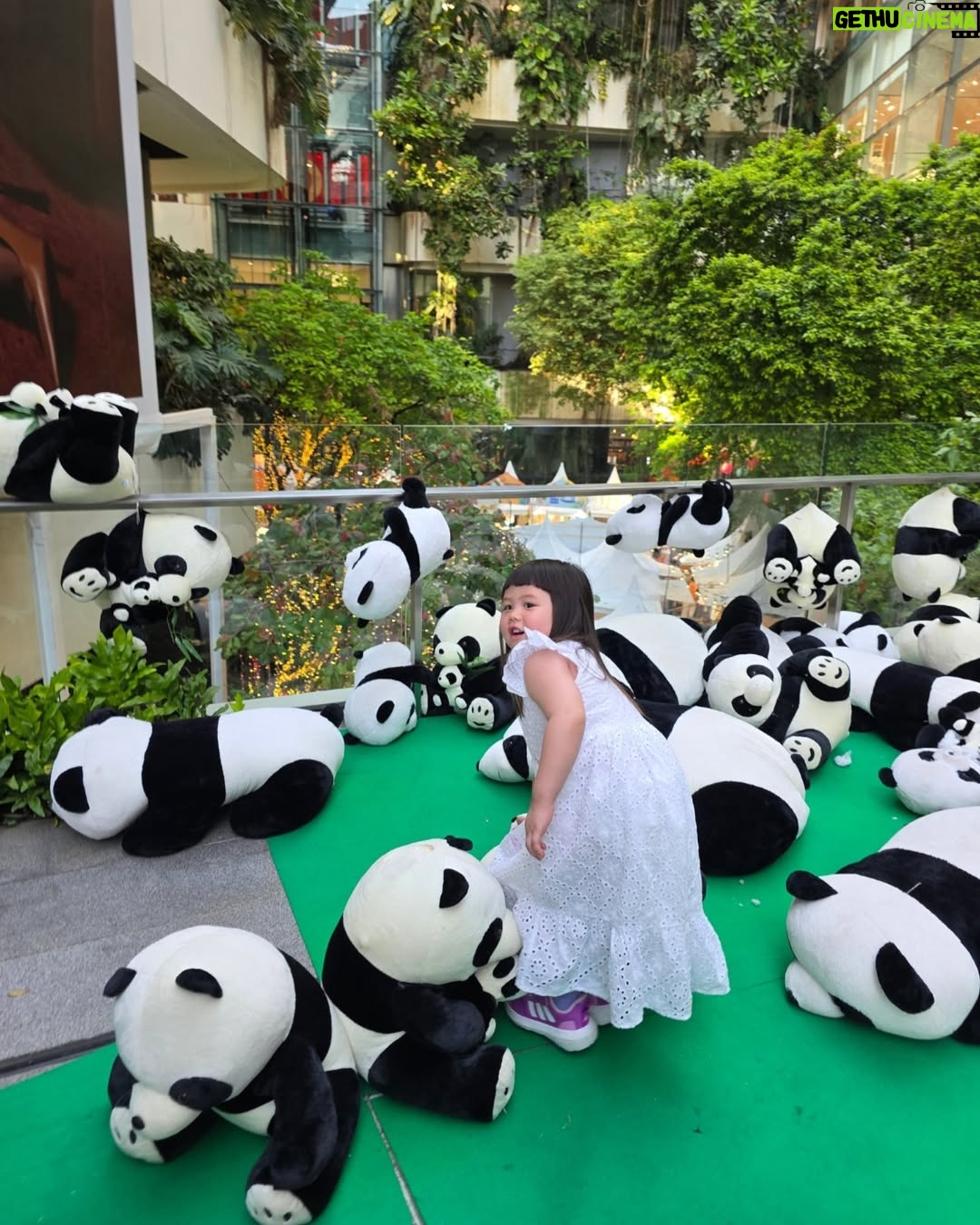 Araya A. Hargate - 224.6K Likes - 🐼🤍🖤🍙