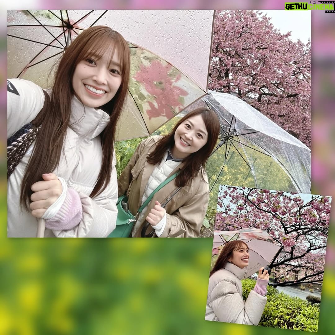 Asami Miura - 116.6K Likes - ...
少し前に、河津桜を見に行きました。菜の花も。
とてもきれいでした。
久美ちゃんです‼︎
楽しかったー‼︎‼︎‼︎