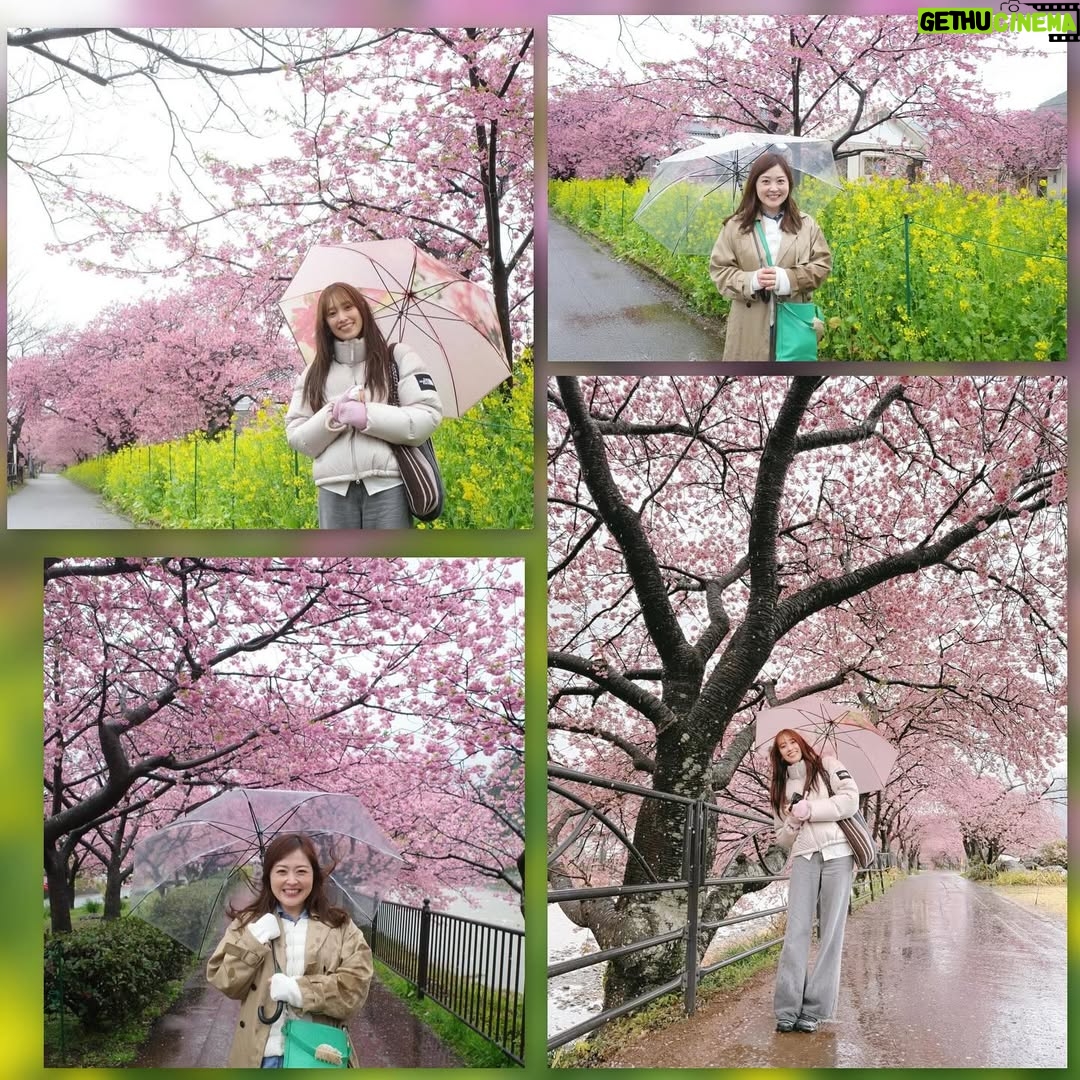 Asami Miura - 116.6K Likes - ...
少し前に、河津桜を見に行きました。菜の花も。
とてもきれいでした。
久美ちゃんです‼︎
楽しかったー‼︎‼︎‼︎