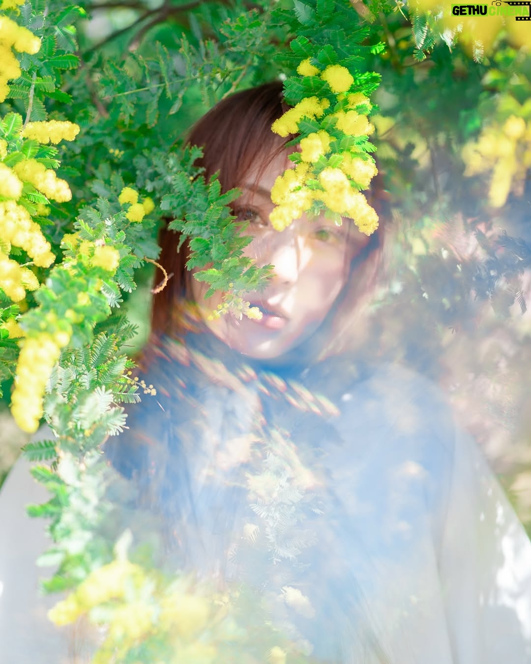 Asami Tano - 3.6K Likes - ⭐️🐥🧽🌼
『 asaMimoZa 』
全ての愛ある姿に🌼
まぁるいのがいっぱいの世の中になります様に🌼
黄色いぽわぽわまぁるいのがいっぱい
@kwiae530 が📸納めてくれました。
どれがすきかな?☺️
#国際女性デー#ミモザ#mimoza#国际妇女节#國際婦女節
#womensday#田野アサミ#asamitano