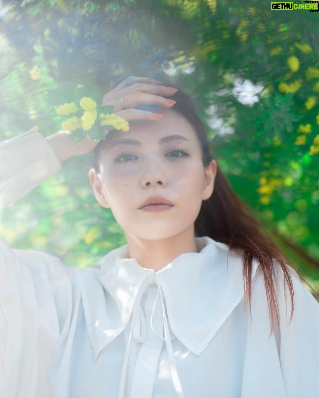 Asami Tano - 3.6K Likes - ⭐️🐥🧽🌼
『 asaMimoZa 』
全ての愛ある姿に🌼
まぁるいのがいっぱいの世の中になります様に🌼
黄色いぽわぽわまぁるいのがいっぱい
@kwiae530 が📸納めてくれました。
どれがすきかな?☺️
#国際女性デー#ミモザ#mimoza#国际妇女节#國際婦女節
#womensday#田野アサミ#asamitano